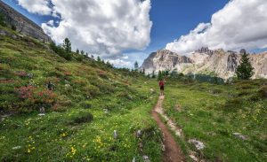 Dove si trova il parco naturale dello Stelvio?